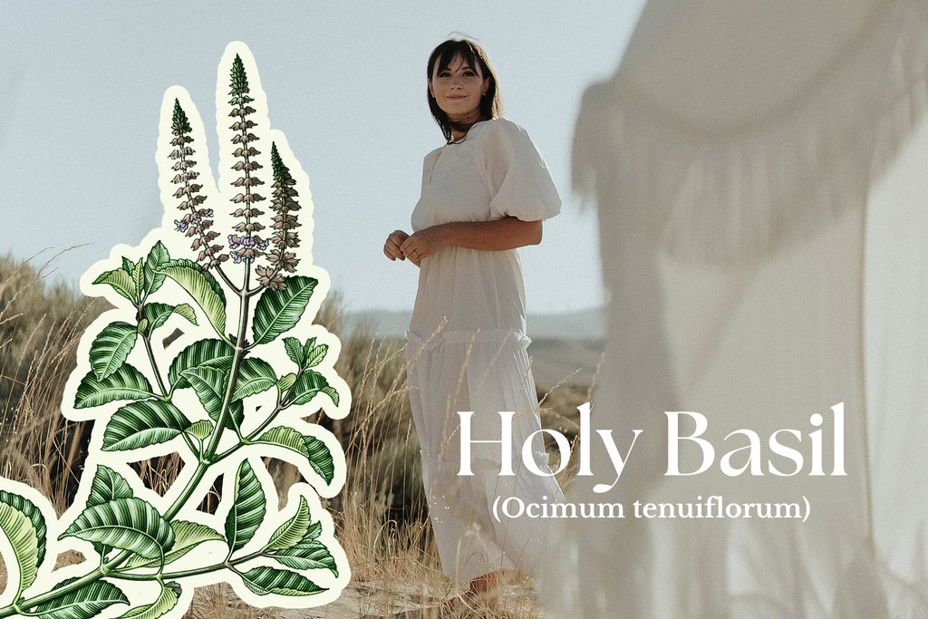 The Empowering Benefits of Holy Basil for Women